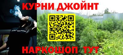 молекула духа Кингисепп
