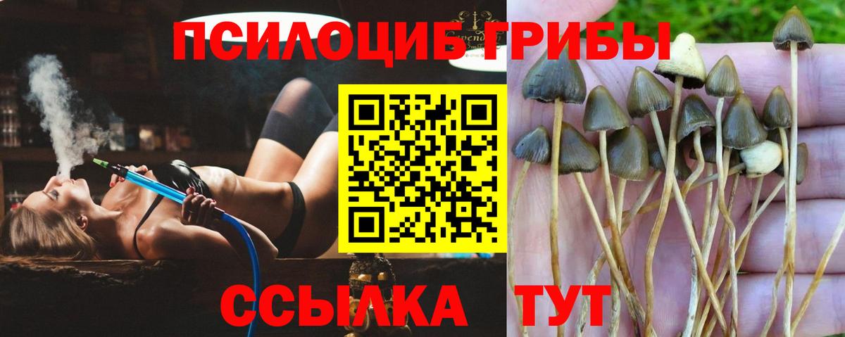 Кемерово  Галлюциногенные грибы мухоморы  Вход с VPN 